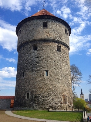 IMG_1171.jpg