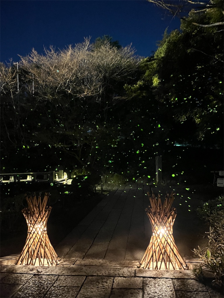 f:id:miyabico:20240514171051j:image f:id:miyabico:20240514171051j:image
