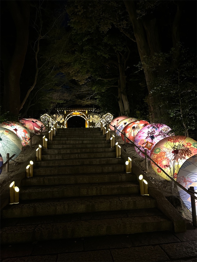 f:id:miyabico:20240514171057j:image f:id:miyabico:20240514171057j:image