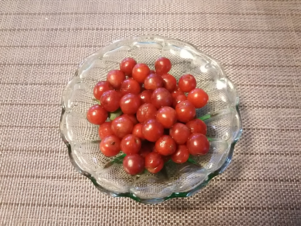 f:id:miyabinoie:20180604123504j:plain f:id:miyabinoie:20180604123504j:plain