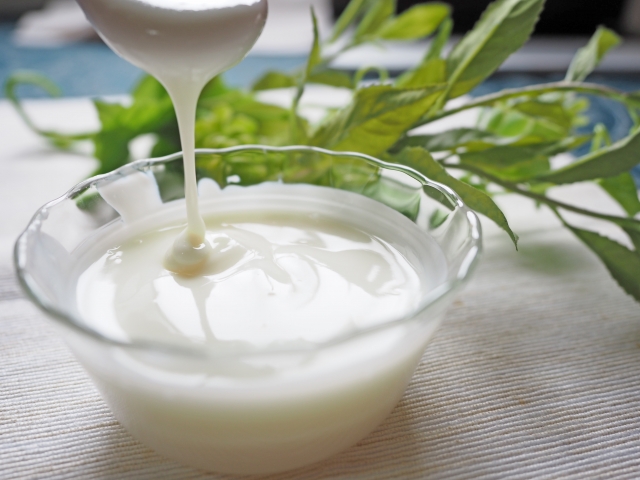 f:id:miyabiryuryu:20160702083708j:plain