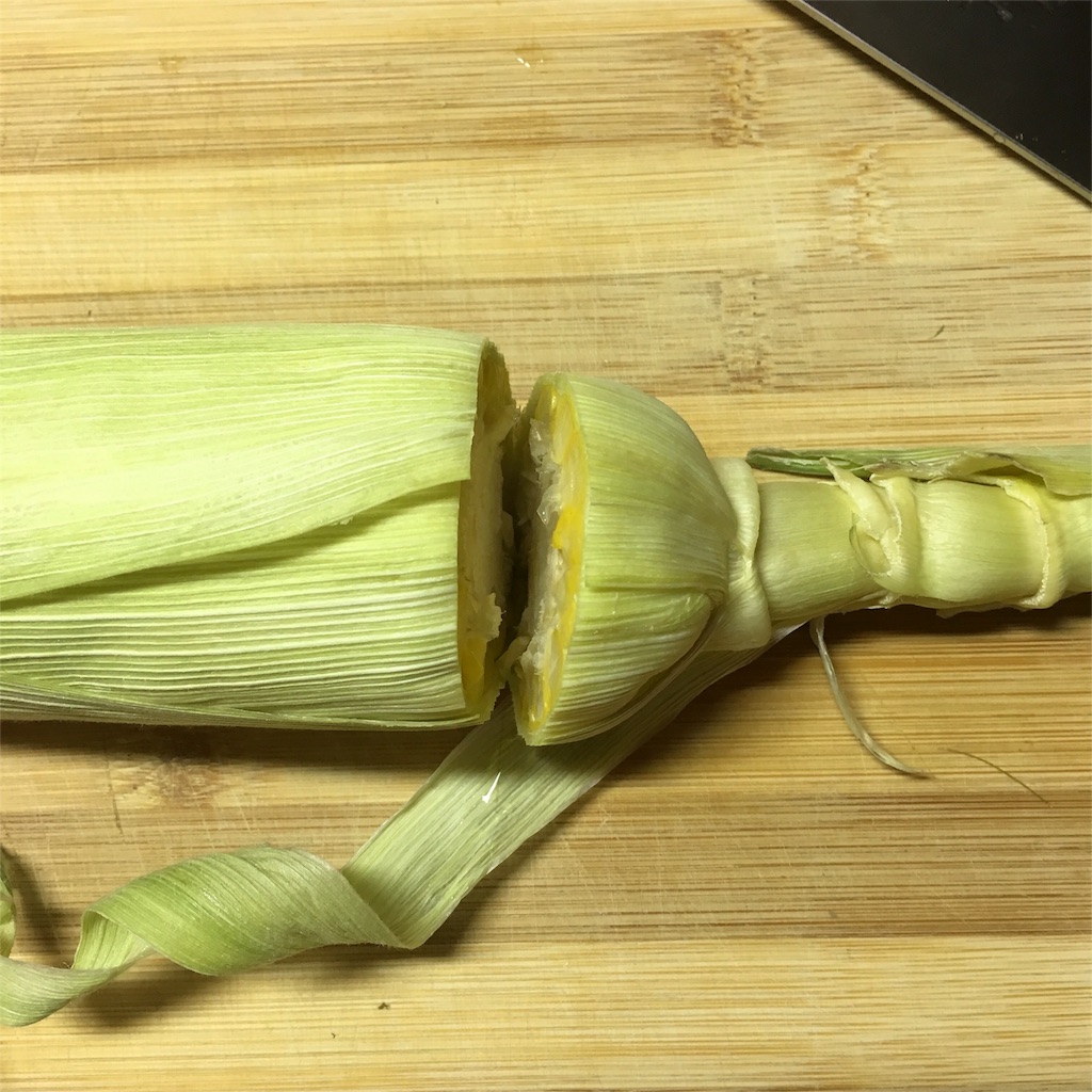 f:id:miyabiryuryu:20160831213237j:image