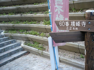 f:id:miyabiyaka:20070321070631j:image f:id:miyabiyaka:20070321070631j:image