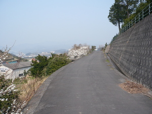 f:id:miyabiyaka:20070322143007j:image f:id:miyabiyaka:20070322143007j:image