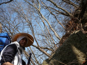 f:id:miyabiyaka:20070326143004j:image f:id:miyabiyaka:20070326143004j:image