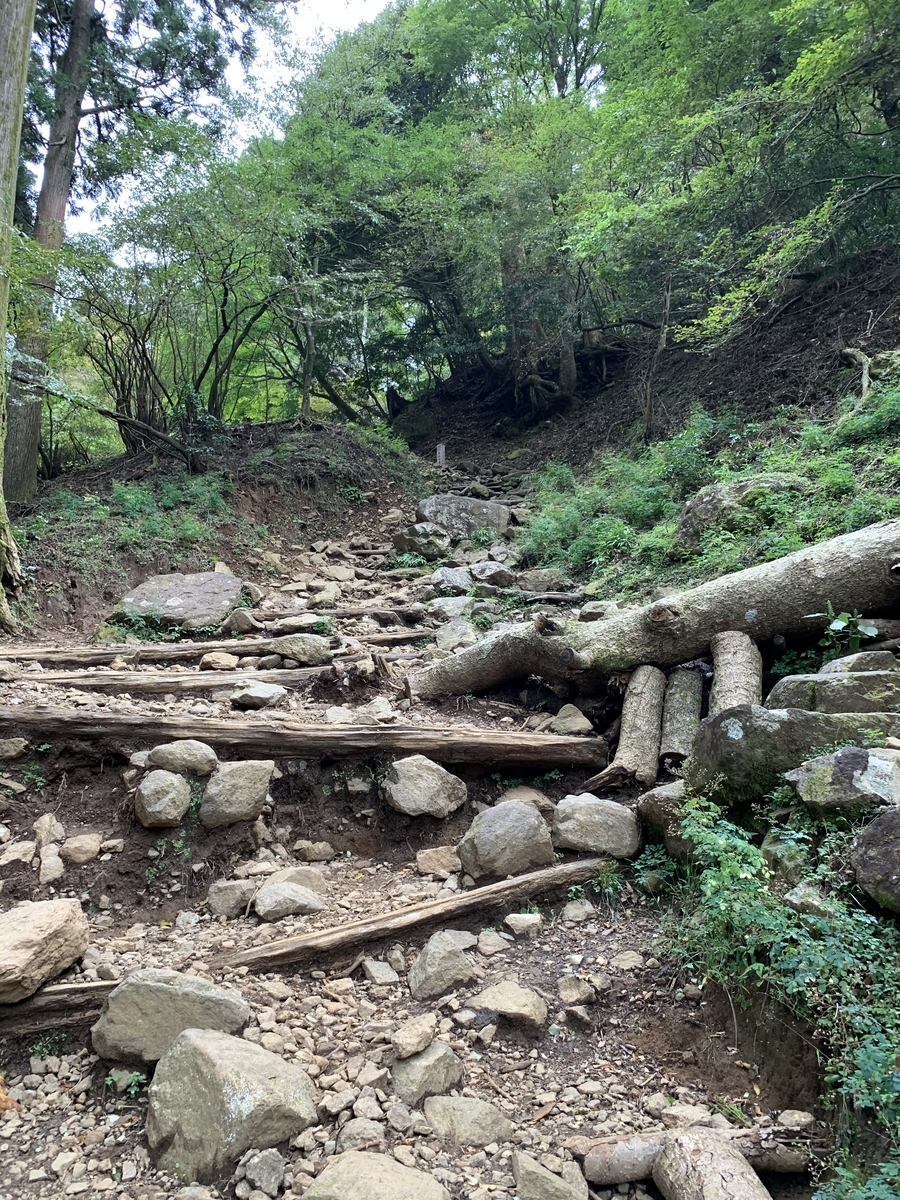 f:id:miyabiyama2019:20201122225120j:plain