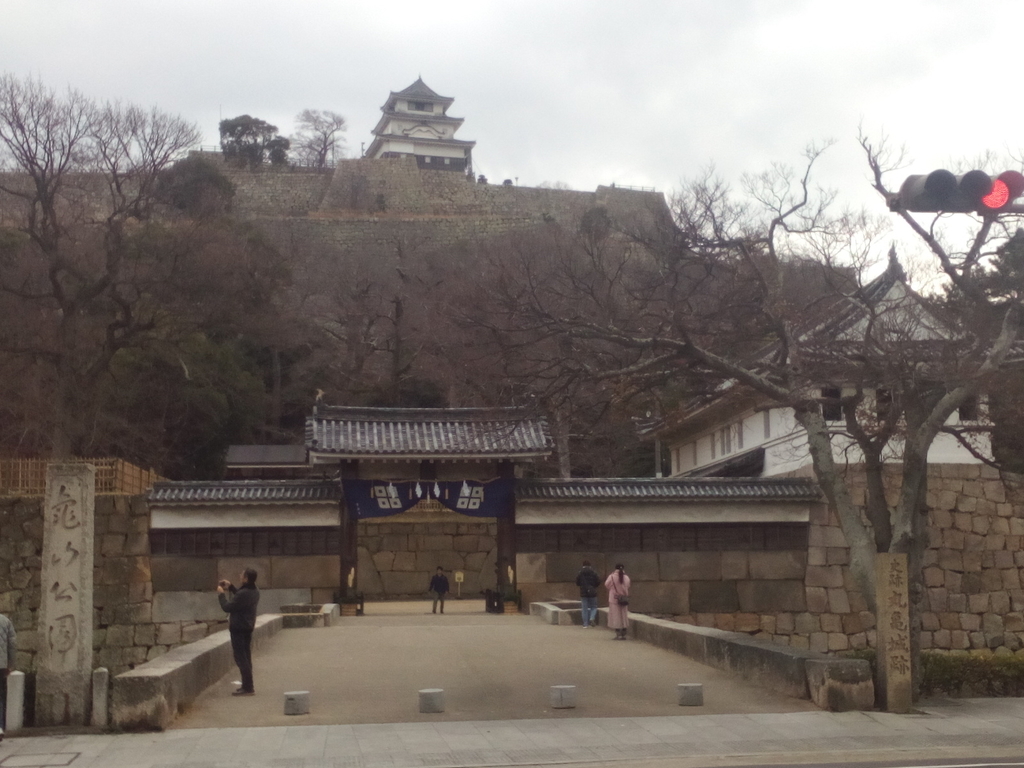 f:id:miyachanhappy:20190114031115j:plain