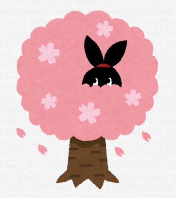 f:id:miyachanhawaii:20190406003839j:image f:id:miyachanhawaii:20190406003839j:image