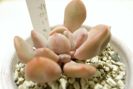 f:id:miyachika:20100111174931j:image f:id:miyachika:20100111174931j:image