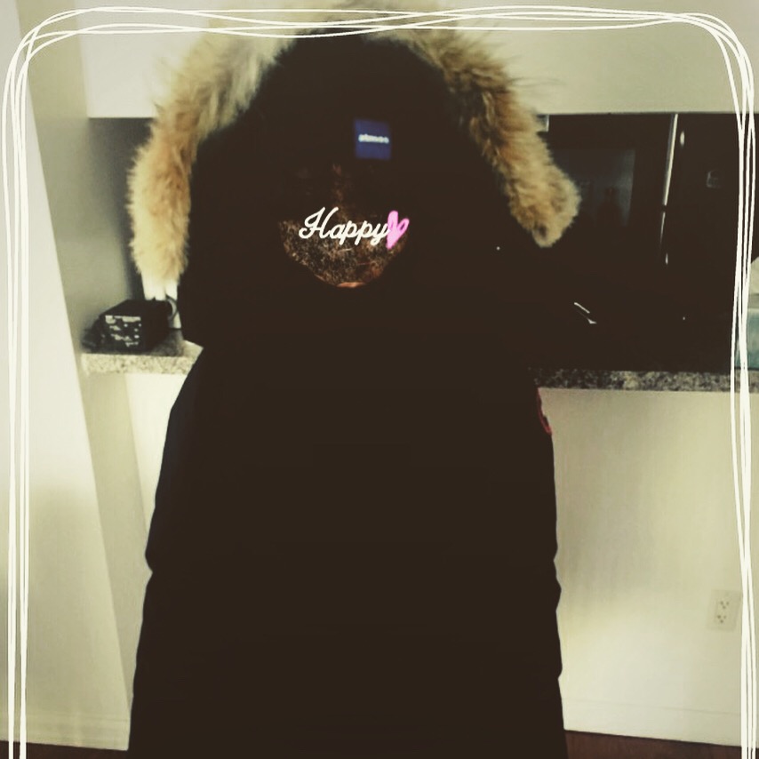 f:id:miyachoco:20171231044615j:plain