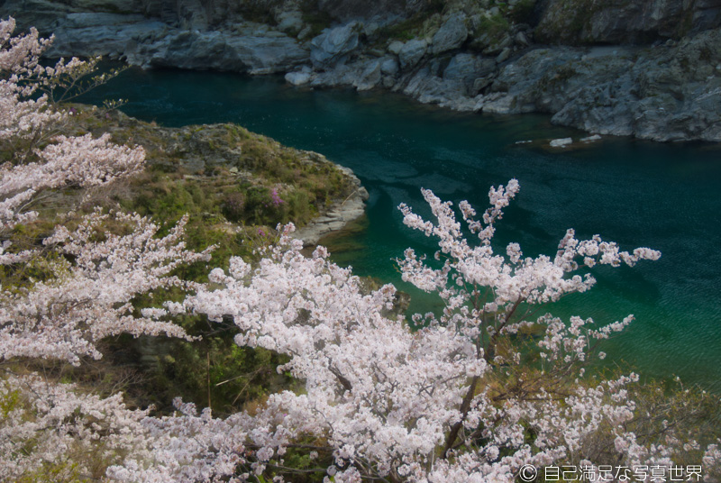 f:id:miyaginz:20200422195604j:plain f:id:miyaginz:20200422195604j:plain