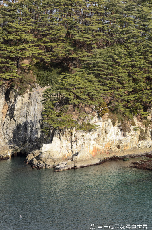 2011年3月8日に岩手県宮古市の海岸で写真を撮っていました - 自己満足な写真世界