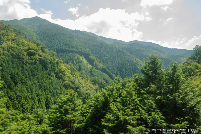 f:id:miyaginz:20210821231141j:plain
