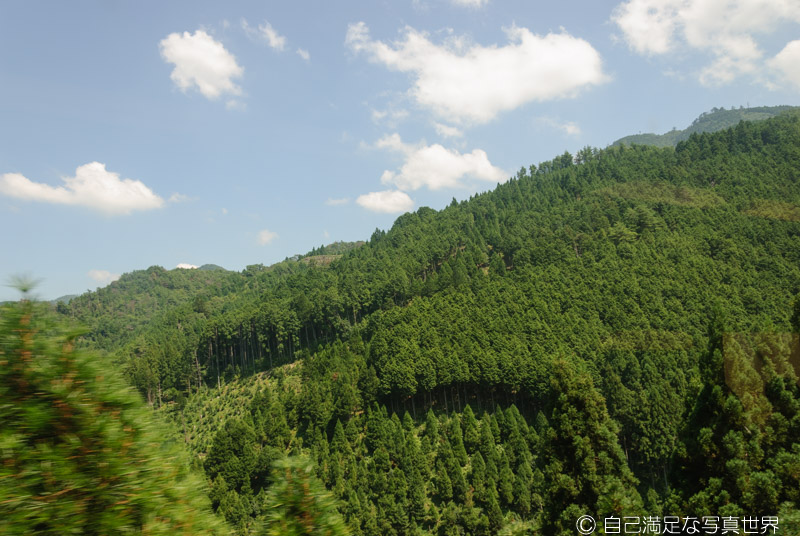 f:id:miyaginz:20210821231248j:plain