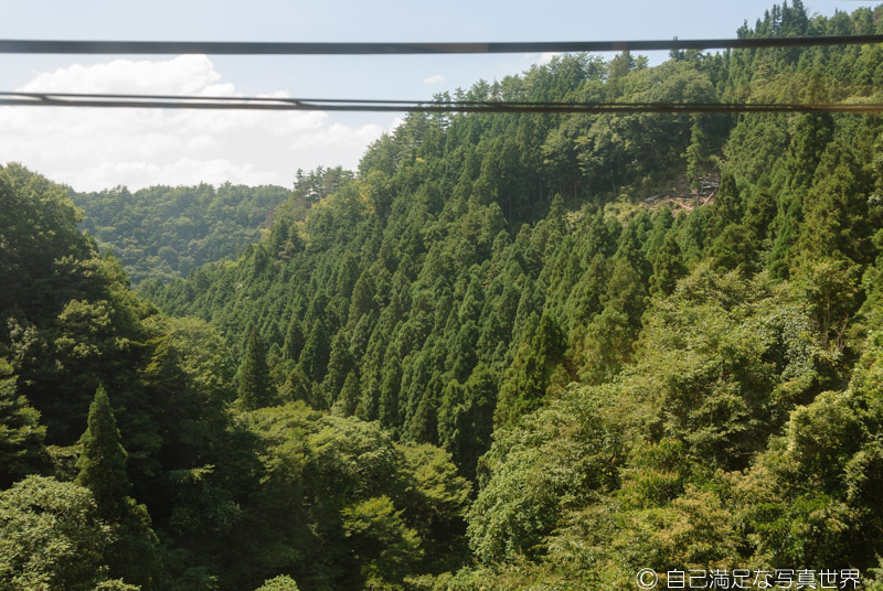 f:id:miyaginz:20210821231540j:plain