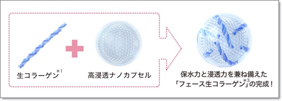 f:id:miyajima0321:20181106223401j:plain