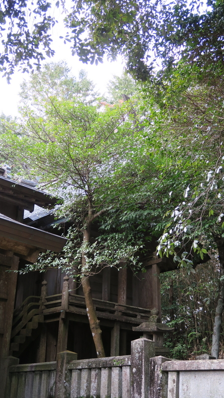 20230208阿波国一宮論社 天石門別八倉比売神社 - miyajundesu blog