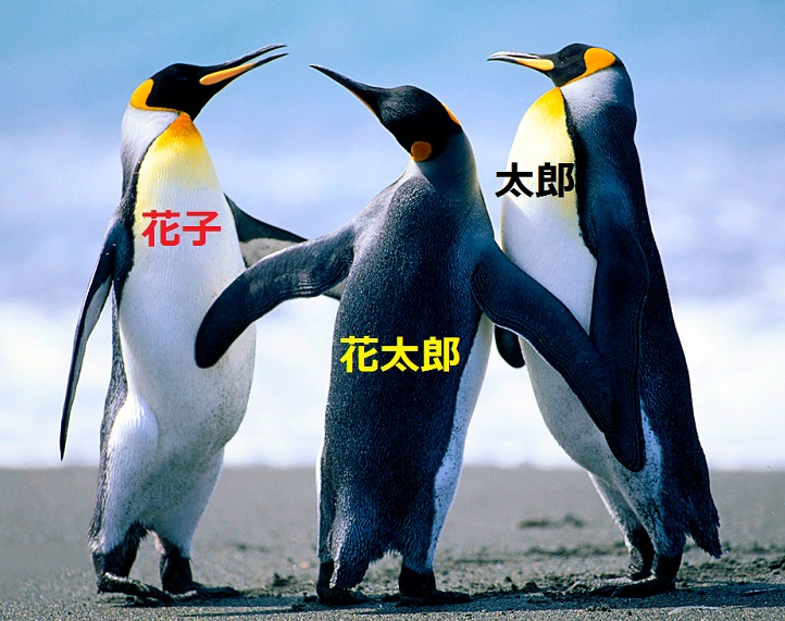 f:id:miyakebito:20140305223356j:image:w300 f:id:miyakebito:20140305223356j:image:w300
