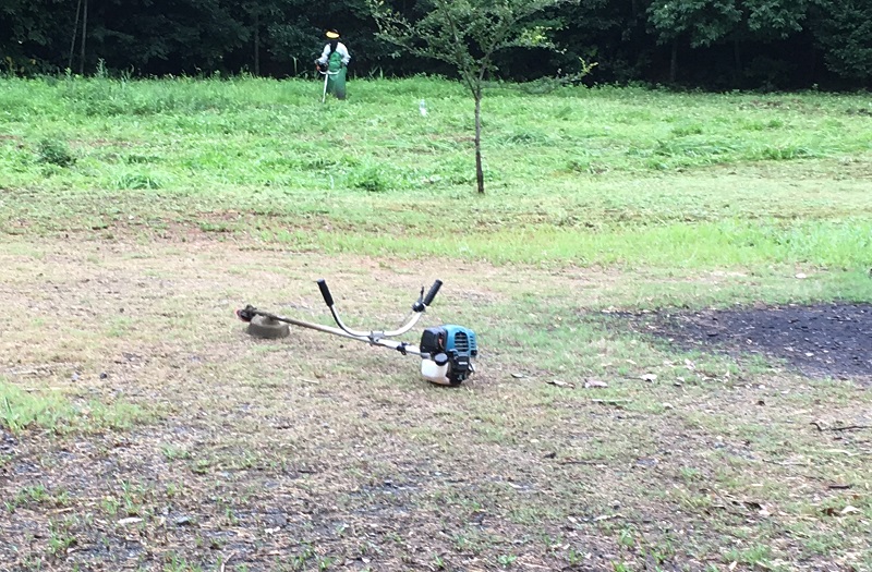 f:id:miyakebito:20170826161519j:image:w360:right