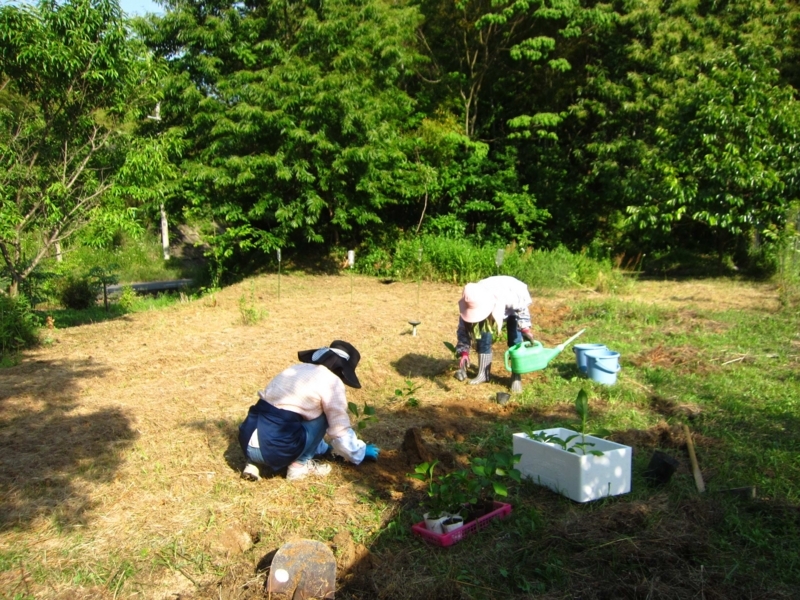 f:id:miyakebito:20170826193341j:image:w360:right