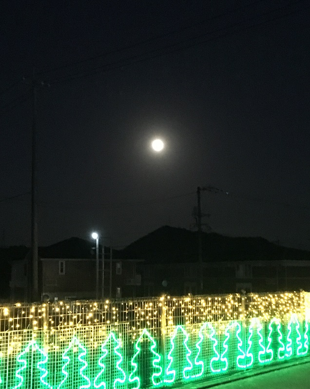 f:id:miyakebito:20181122193900j:plain:h380