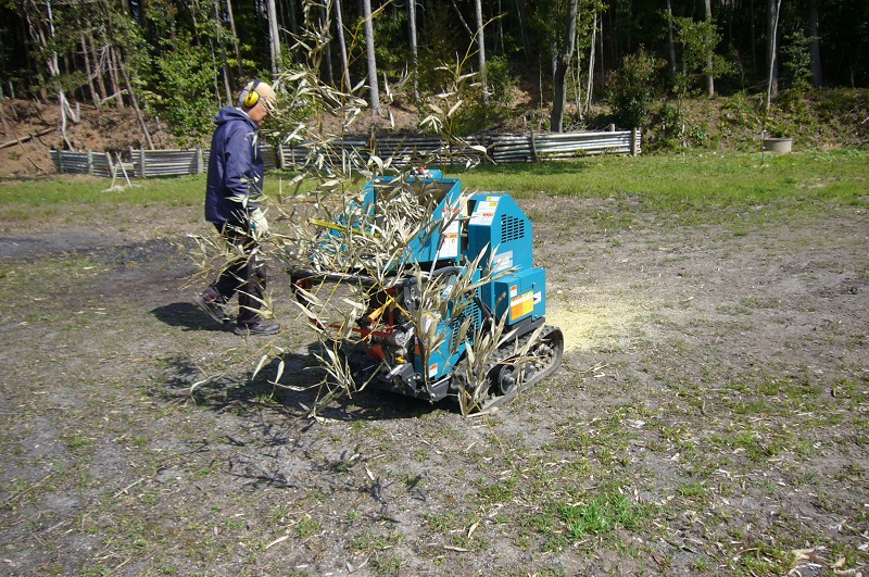 f:id:miyakebito:20190405212109j:image:w190