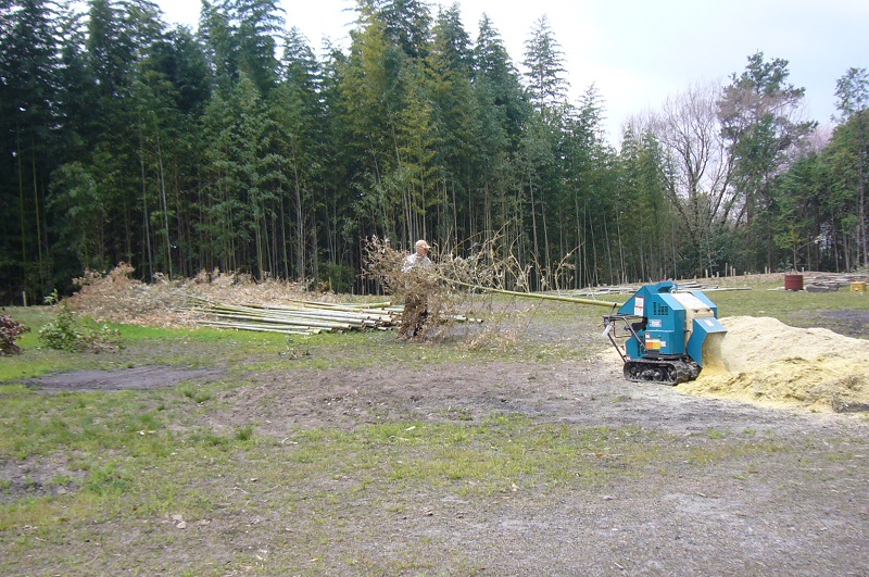 f:id:miyakebito:20190405214011j:image:w190