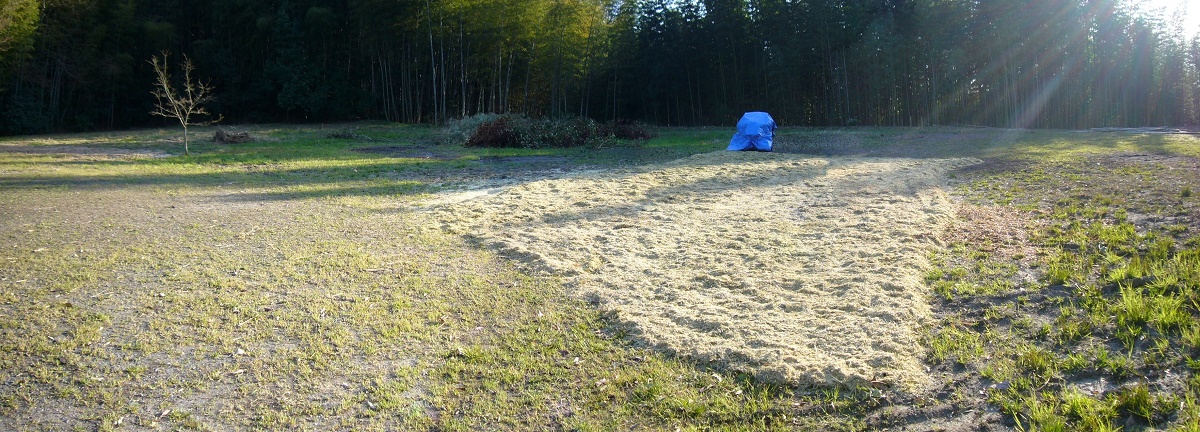 f:id:miyakebito:20190405215342j:plain