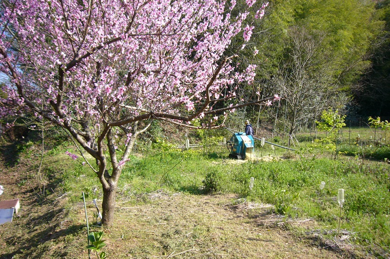 f:id:miyakebito:20190405215705j:image:w190