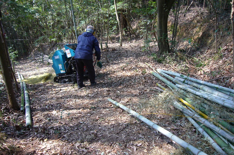 f:id:miyakebito:20190405220231j:image:w288