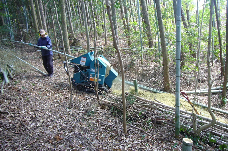 f:id:miyakebito:20190405220345j:plain