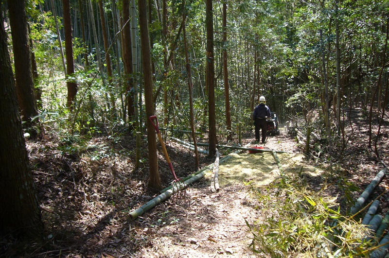 f:id:miyakebito:20190405220551j:image:w288