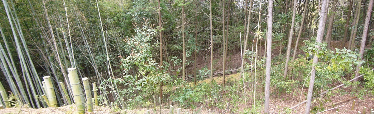 f:id:miyakebito:20190405221121j:plain