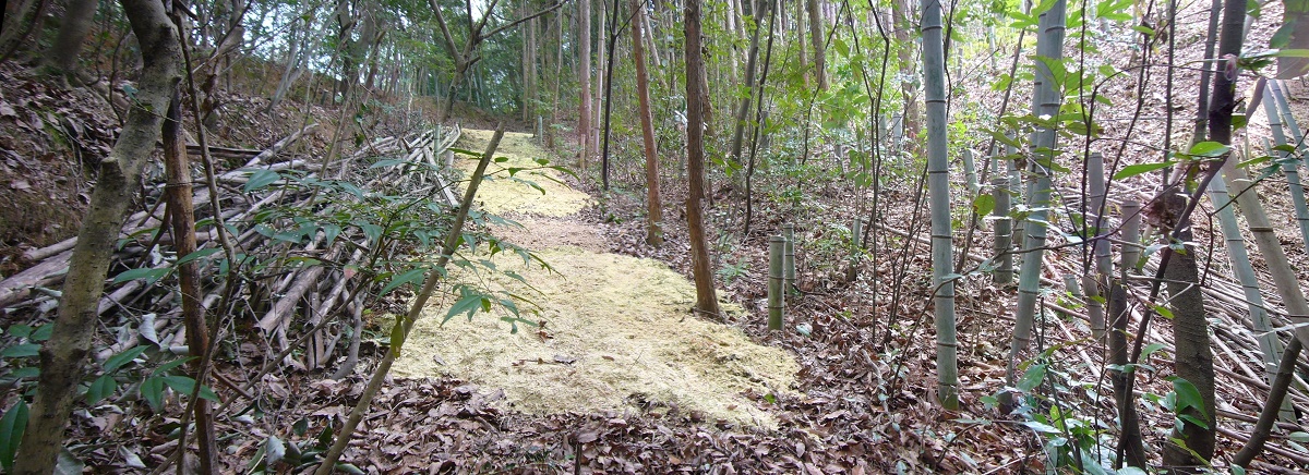 f:id:miyakebito:20190405221147j:plain