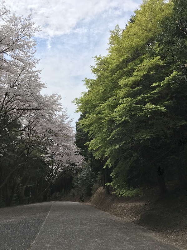 f:id:miyakebito:20190405230529j:image:w190