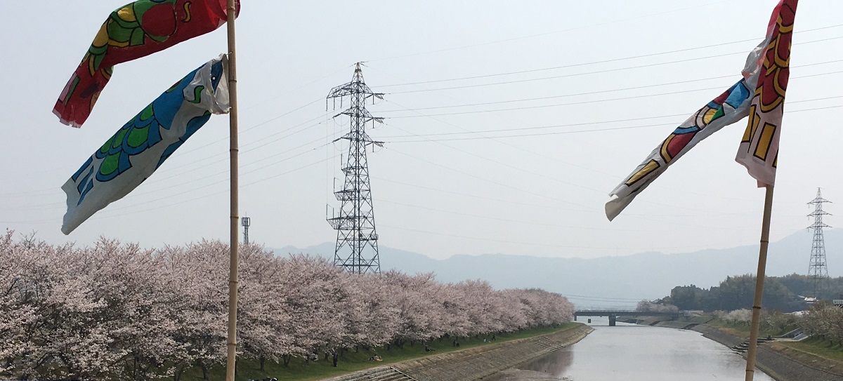 f:id:miyakebito:20190407223551j:image:w580