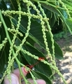 20190602232334