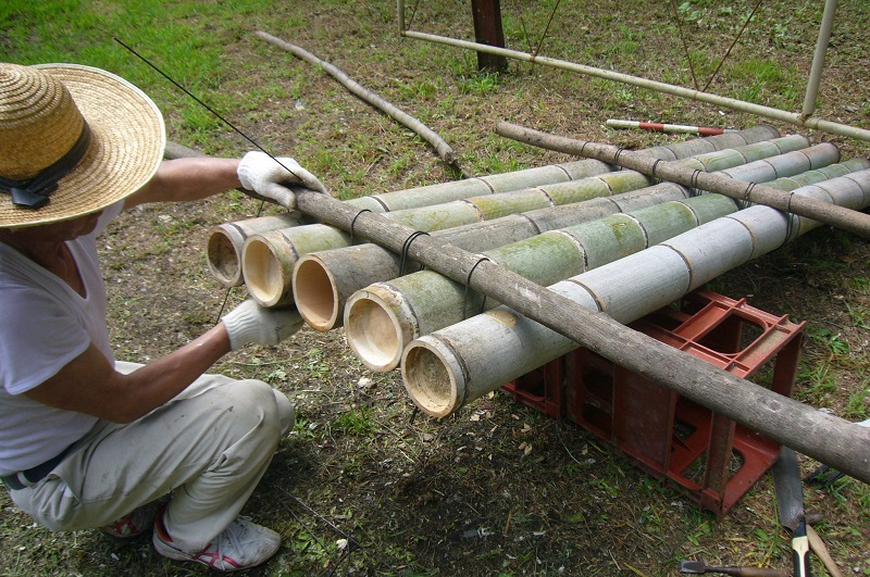 f:id:miyakebito:20190725202240j:plain:w400