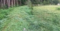 20190903213512
