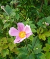 20190905092935