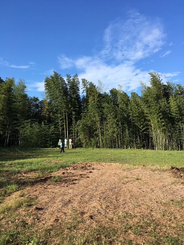 f:id:miyakebito:20190925220413j:plain:w190 f:id:miyakebito:20190925220413j:plain:w190