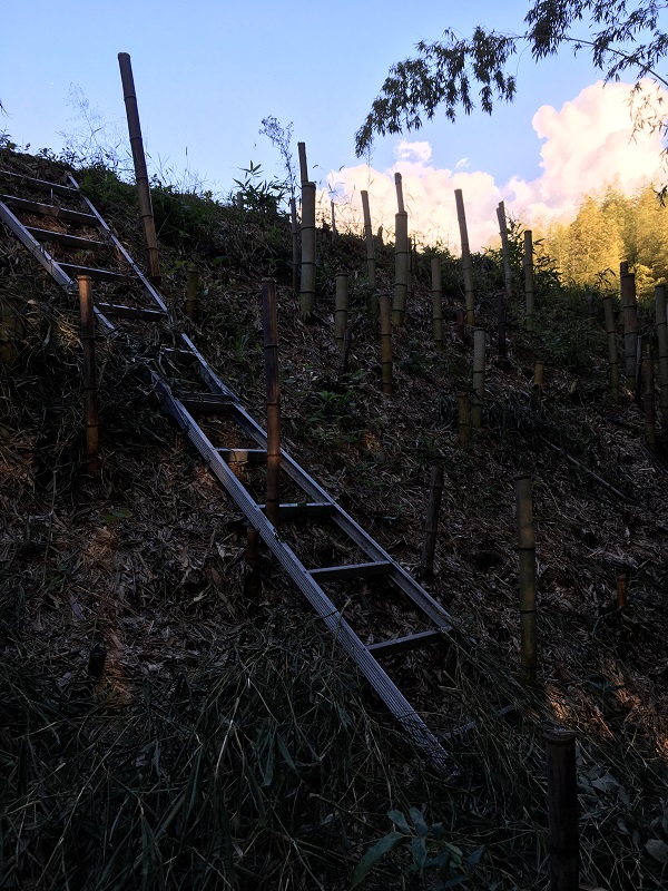 f:id:miyakebito:20191004210301j:image:w280