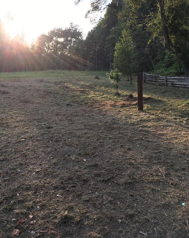 f:id:miyakebito:20191006215526j:plain:w300:left