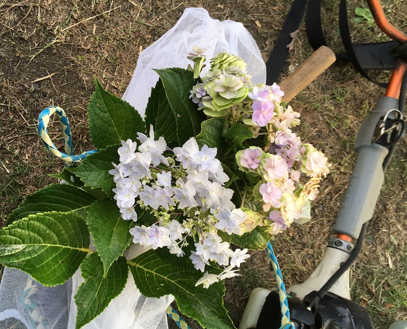 f:id:miyakebito:20191006220353j:plain:w253