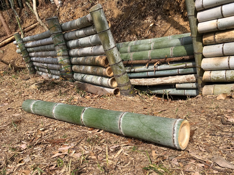 f:id:miyakebito:20191112183448j:plain:w400