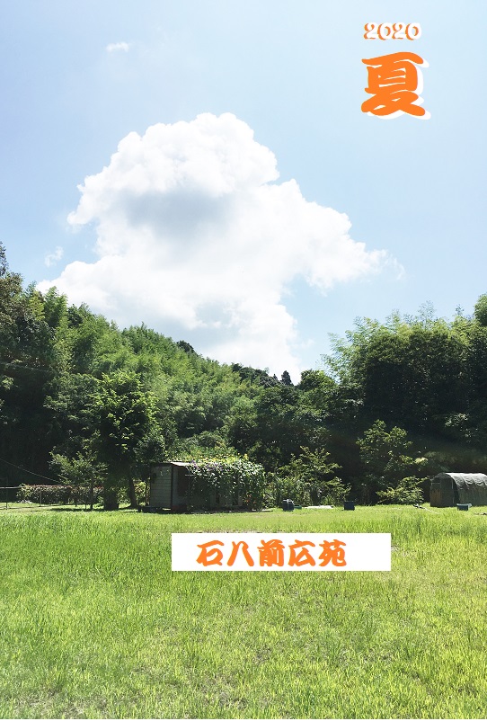 f:id:miyakebito:20200730133915j:plain:h480 f:id:miyakebito:20200730133915j:plain:h480