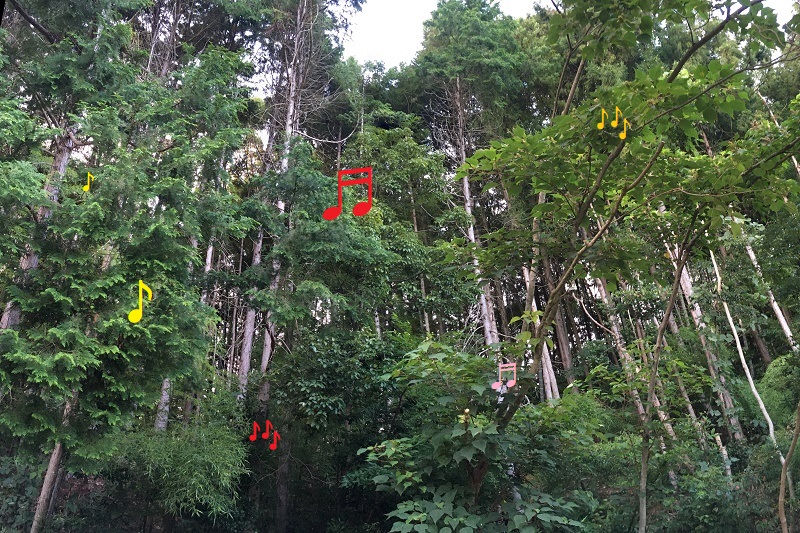 f:id:miyakebito:20200803220525j:image:right:w240