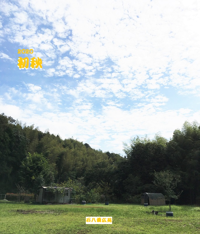 f:id:miyakebito:20200915223239j:plain:h400 f:id:miyakebito:20200915223239j:plain:h400