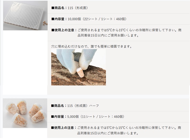 f:id:miyakebito:20210301215222j:plain