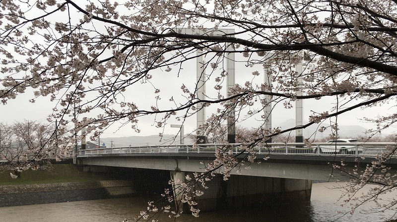 f:id:miyakebito:20210328185051j:plain